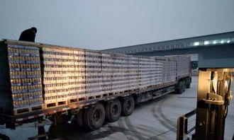 一站式城市运输服务 从长途搬家到轿车托运的全面解决方案