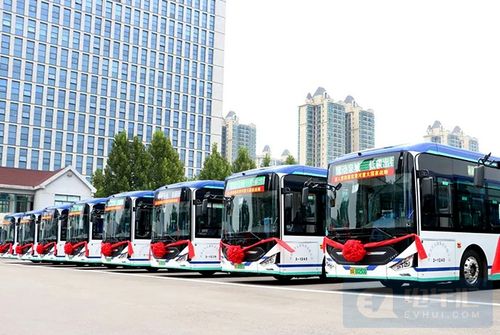 逐步取消新能源车购买限制，助力城市配送运输服务升级